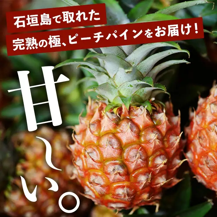 《2027年4月上旬以降順次発送》桃香纏う幻果 ピーチパイン 3玉 (約2.7kg)