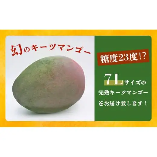 【先行予約】7Lサイズ 幻のキーツマンゴー　TF-3-1_R8