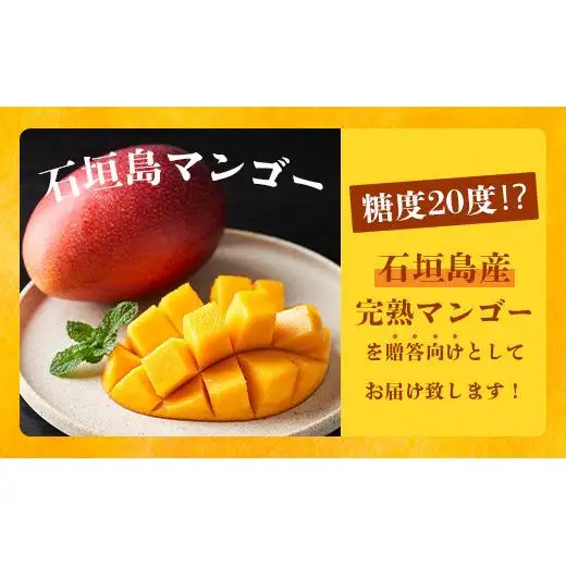 最高糖度20度！？ 完熟の極！石垣島マンゴー 2玉約800g《2027年6月中旬順次発送》【贈答向け】