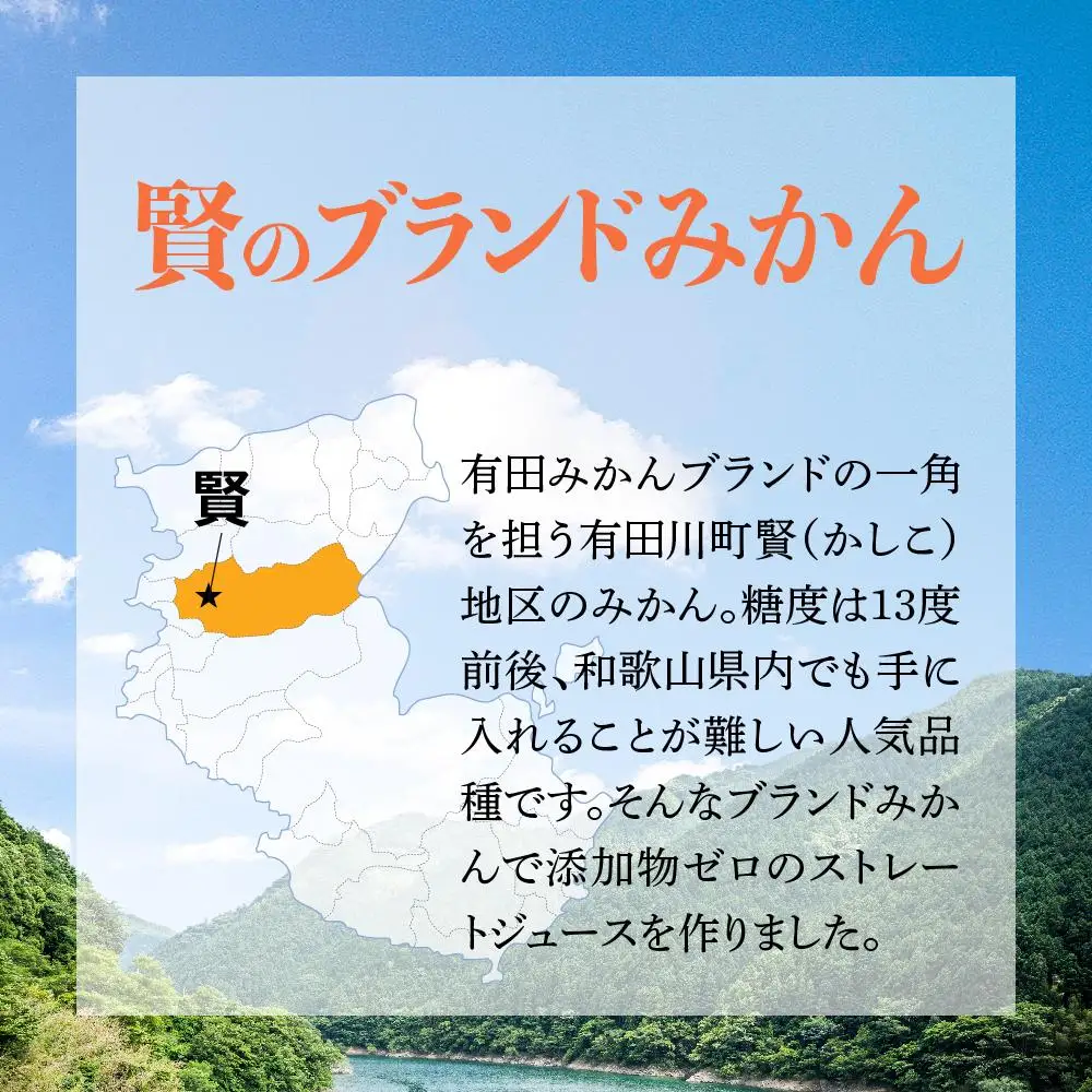賢みかんジュース200ml 12本セット ギフト