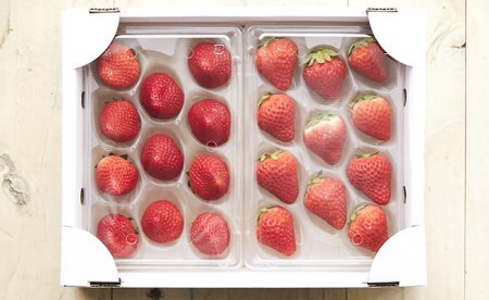 四季成りいちご 2種食べ比べ 400g (200×2パック) 品種おまかせ 〈 なつあかり 信大BS8-9 夏の輝 夏のしずく すずあかね 〉 いちご