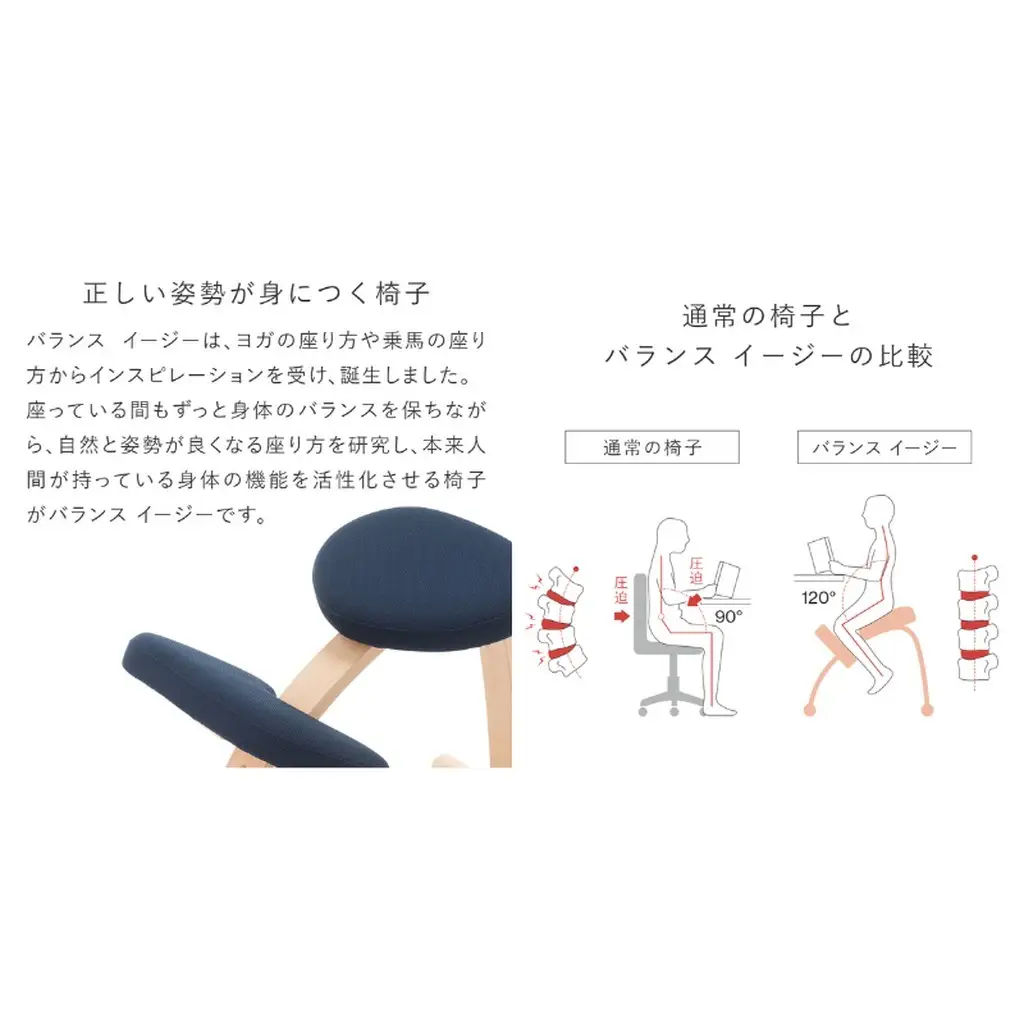 椅子 バランスイージー カバー付き 選べる カラー 椅子 通常Lブルー+Sブルー