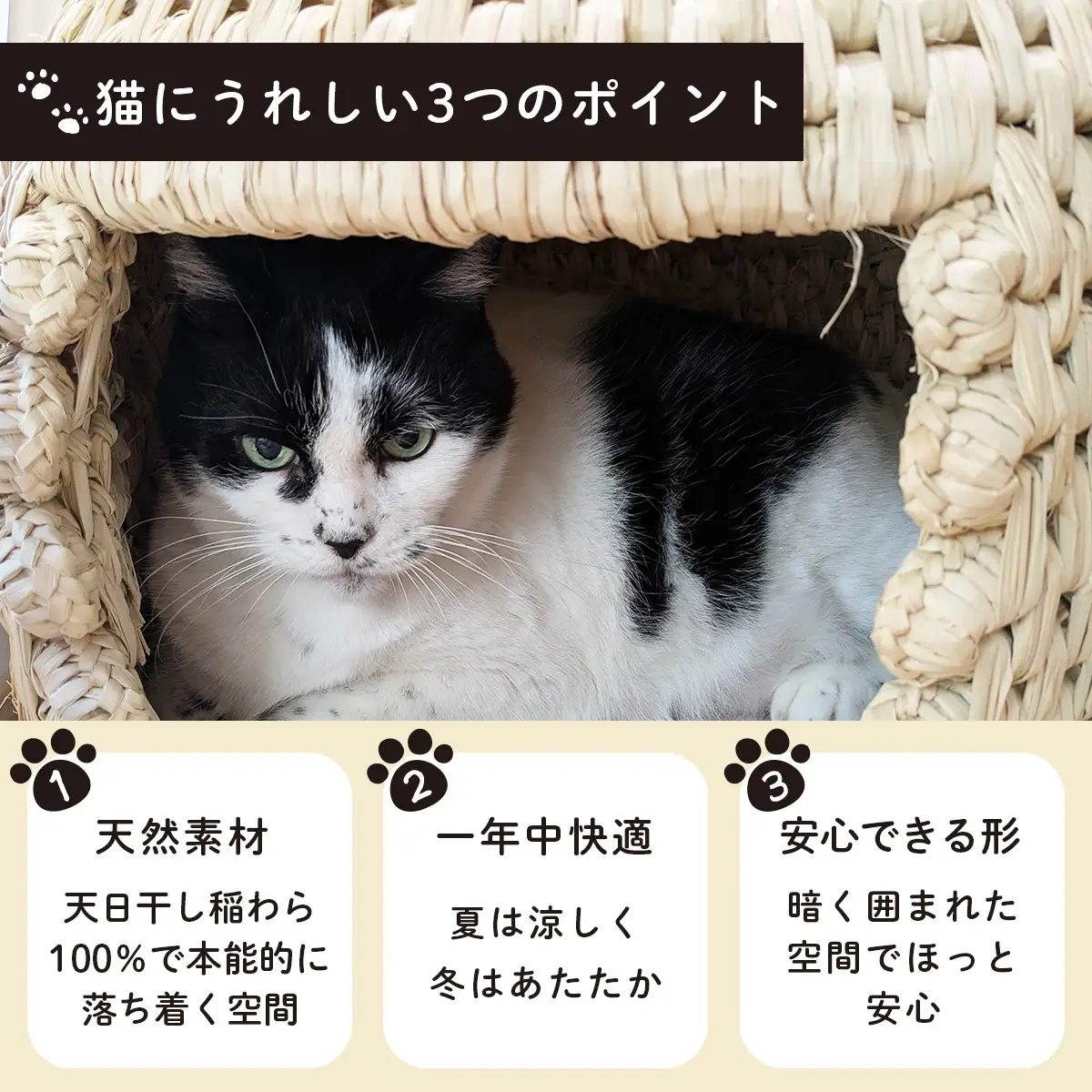猫つぐら | 猫 ペット
