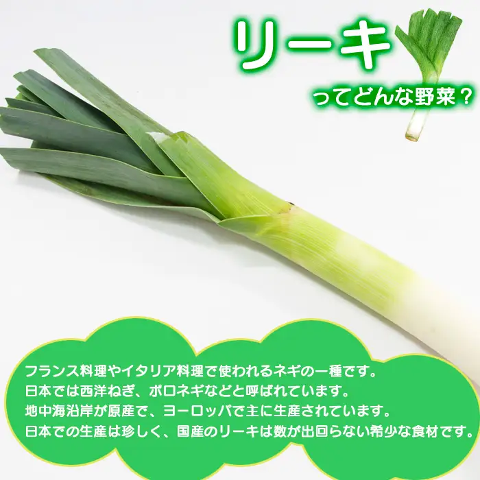 岩手県産 リーキ 1kg 【みのり風土】 ／ 西洋ねぎ ポロネギ ポワロ ポロ ポアロ リーク
