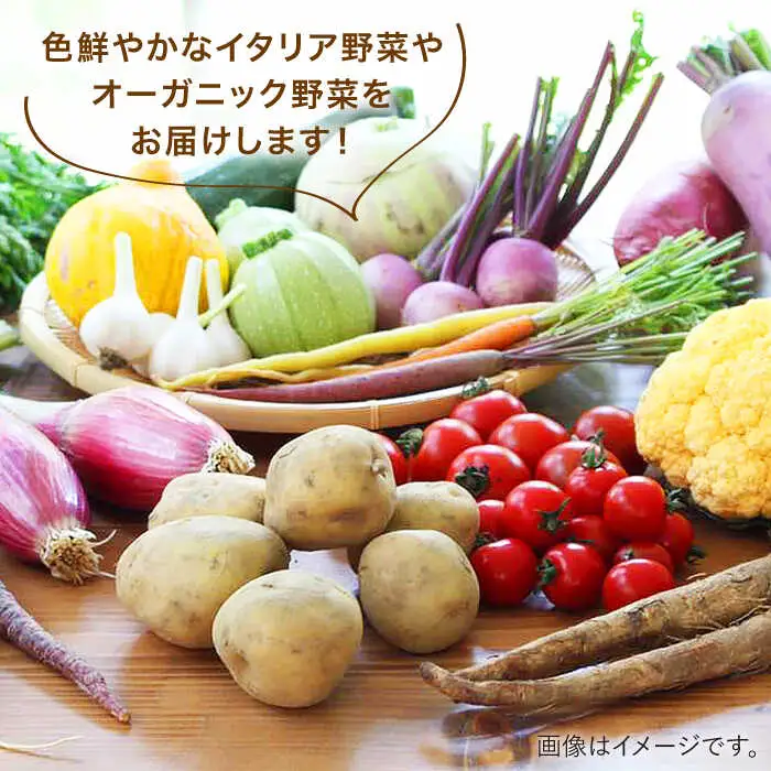 【全3回定期便】旬を味わう 糸島 野菜 セット 10?14種 （14パック） / イタリア野菜 オーガニック 野菜ソムリエ 松永 糸島市 / vegeLabo [AJB004]