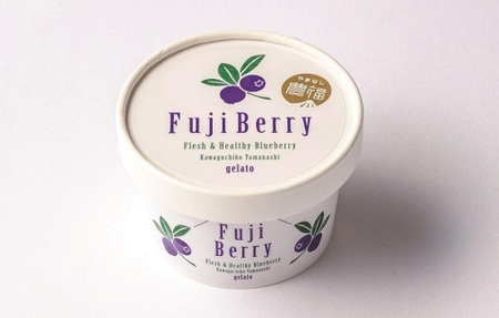 Fuji Berry ブルーベリーアイス食べ比べセット NSAA007