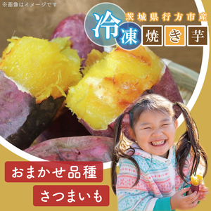 熟成シルクスイート冷凍焼き芋約1kg+おまかせ品種さつまいも　合計約1.2kg｜さつまいも サツマイモ さつま芋 焼き芋 やきいも 冷凍 冷凍焼き芋 シルクスイート 茨城県 行方市(EY-28)