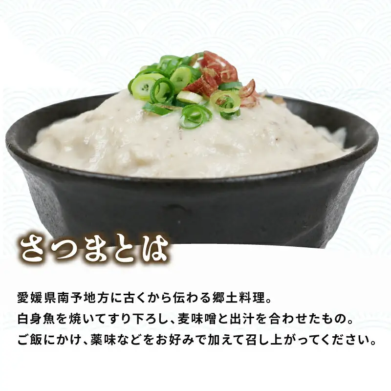 漁師飯！ 伊予さつま 60g×14個 河野鮮魚店 漁師飯 D010-177001