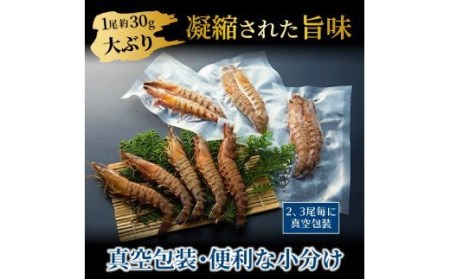 鮮度抜群！活き〆冷凍車海老（1.17kg）_29004C