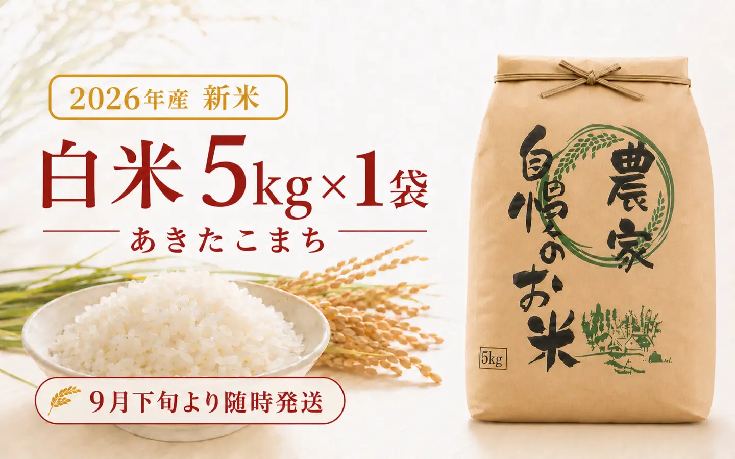 限定100件【新米・先行予約】あきたこまち5kg 信濃町産 令和8年 精米 2026年9月下旬発送予定 黒姫山麓 霧下 米 長野県信濃町
