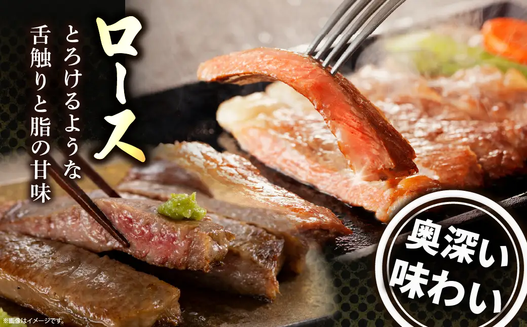 宮崎牛 ロース ステーキ 2枚 500ｇ 牛肉 肉 国産 小分け ブランド牛 ギフト 贈り物 九州 宮崎 霜降り_A0001-059
