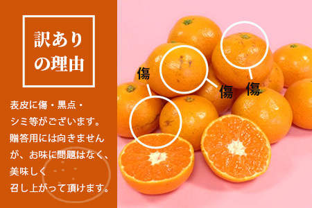2回定期【訳あり】”やーらしか”鹿島産みかん 約6.5kg ×2回 【配送期日指定不可】佐賀県 鹿島市産 温州ミカン 旨み凝縮 小粒みかん B-714