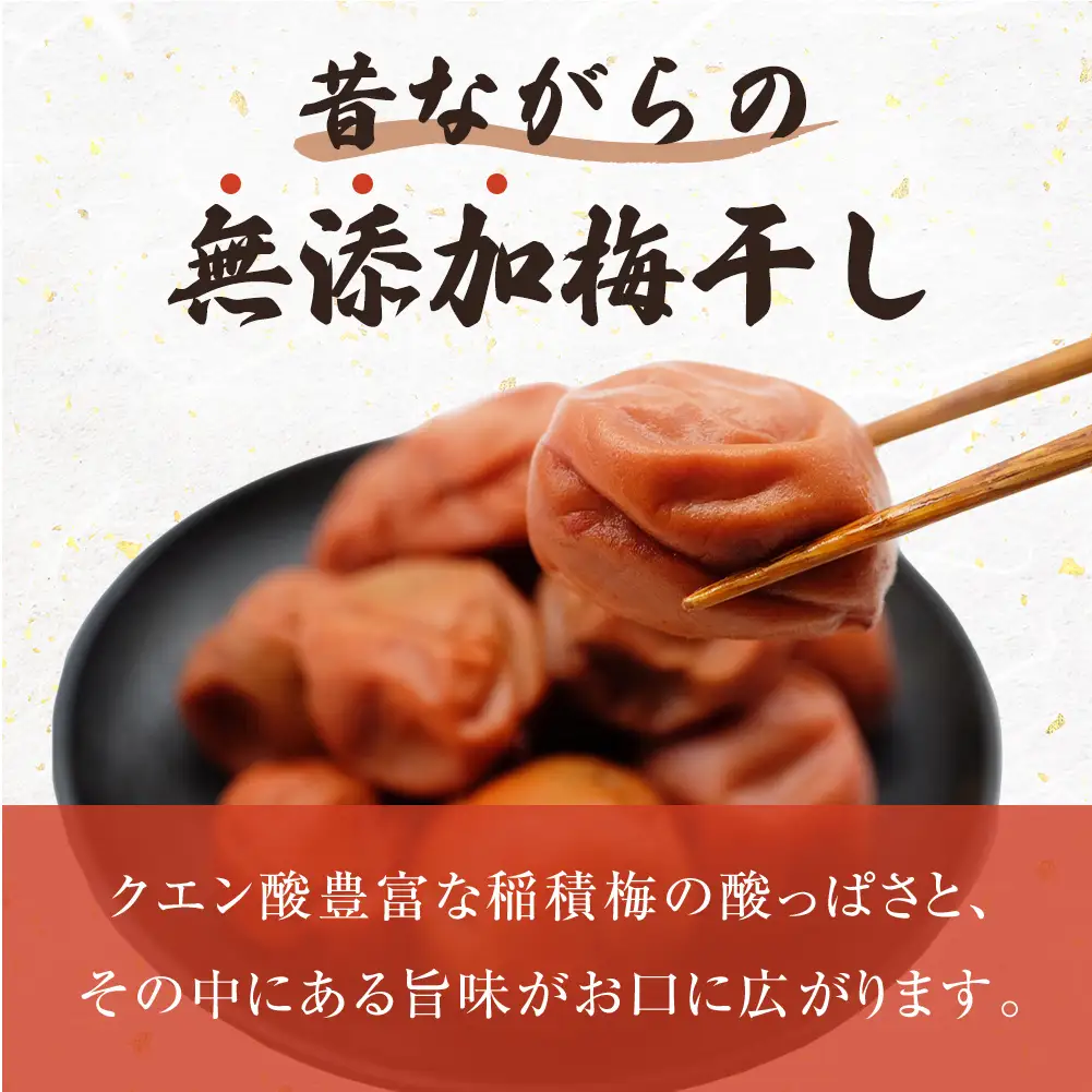 梅干し お米（10kg）付き！　｜　富山県 氷見市 固定種 稲積梅 梅 梅干し 手作り 果実 昔ながら 無添加 酸っぱい 肉厚 お米 セット GI認証 GI登録