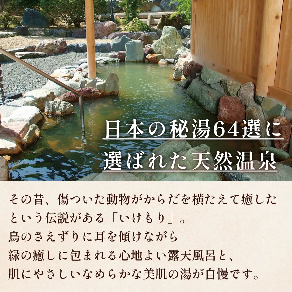 氷見温泉郷 天然温泉 湯の里 いけもり1泊2日宿泊券（１名様）