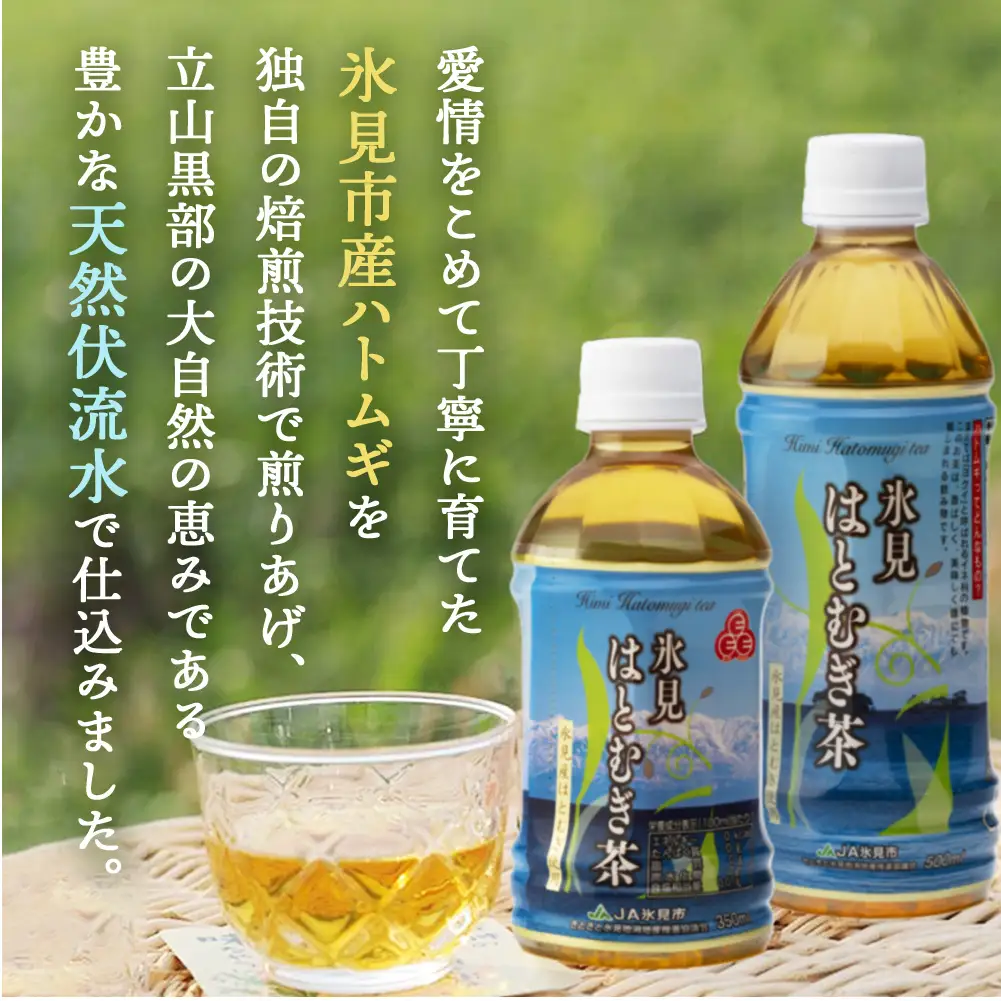 【6ヶ月定期便】　氷見はとむぎ茶　ペットボトル500ml×24本 | お茶 定期便 ６ヶ月 連続 富山 氷見 ハトムギ 茶 飲料 国産 ドリンク 常温 緑茶入り 24本 ヨクイニン 保存 特産品 地域還元 備蓄 常備品 災害 非常用