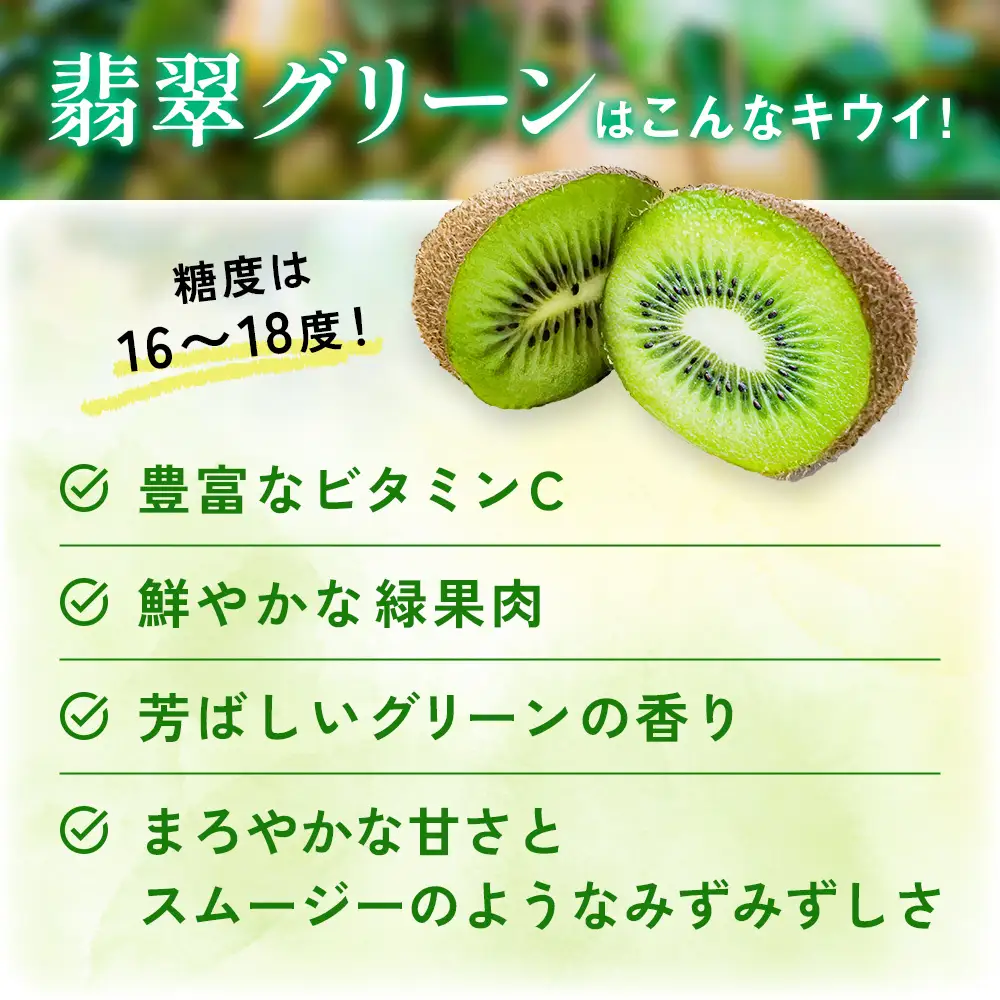 富山県産キウイ（翡翠グリーン）1kg以上（8〜12個）ギフトボックス入り ＜2026年10月以降順次発送＞  | 国産 数量限定 グリーンキウイ 富山 氷見 果物 フルーツ キウイ ギフト プレゼント 希少 品種 甘い