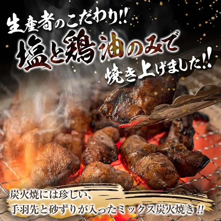 数量限定 みやざき地頭鶏 炭火焼き ミックス 合計750g 鶏肉 チキン 国産 加工品 食品 惣菜 モモ ムネ 手羽先 砂ずり おかず おつまみ 真空パック 小分け 宮崎名物 ブランド 簡単調理 晩ご飯 人気 おすすめ お取り寄せ グルメ 宮崎県 日南市 送料無料_C122-24