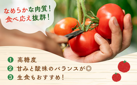 ぜいたくトマト 約1.7kg◇
