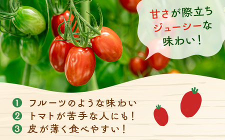 ミニトマト『フラガール』1.5kg～2kg◇
