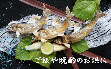 天然鮎 の 塩焼き 6匹 ( あかねや ) ＜ 冷凍 ＞ 
