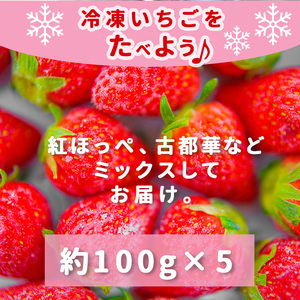 お手軽 小分け 冷凍いちご 約 500g ( 100g x 5パック ) | 果物 イチゴ いちご