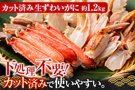 生食可！カット済み生ずわいがに約1.2g(お刺身・焼きガニ・カニ鍋等) B-11099