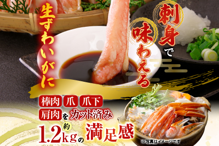 生食可！カット済み生ずわいがに約1.2kg(お刺身・焼きガニ・カニ鍋等) B-14101