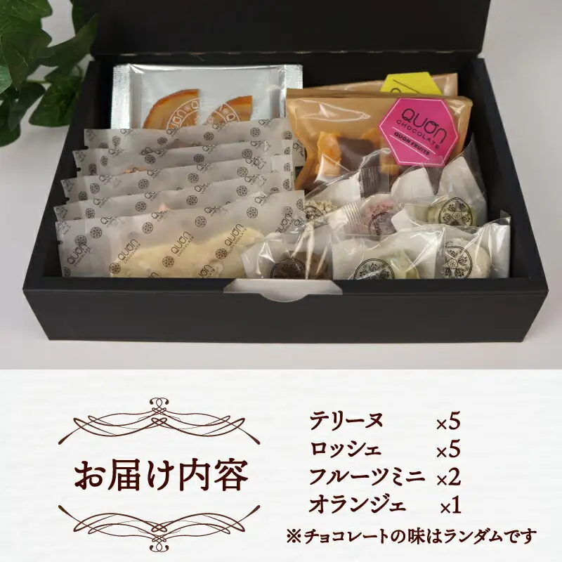 ちょこちょこ 久遠チョコレート 詰合せ セット チョコレート J015-167002