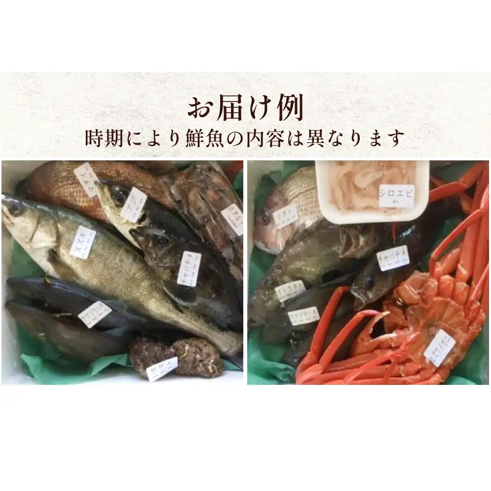 【定期便12ヶ月 】天然のいけす 富山湾 氷見漁港 旬の鮮魚セット 直送 詰め合わせ 鮮魚ボックス 富山県 氷見市