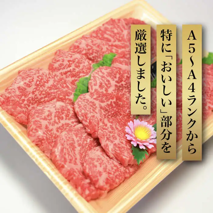 博多和牛A5‐A4 モモ赤身 ミニステーキ350g ソース・塩胡椒付 [ABCJ024]