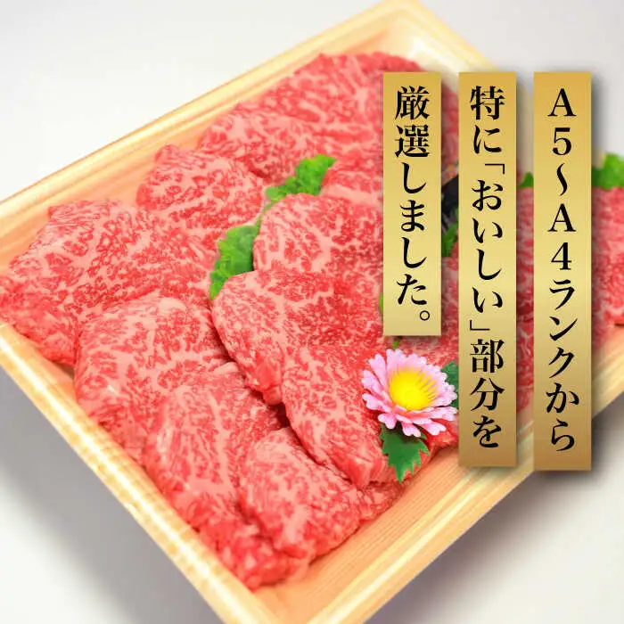 【化粧箱入】A5‐A4ランク 博多和牛 厳選セット（計1150g）焼肉たれ・塩胡椒付 [ABCJ028]