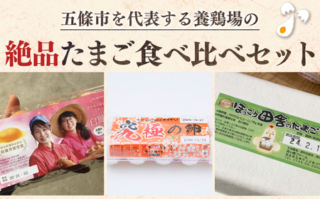 五條のたまご 食べ比べセット 計30個 | 卵 たまご 玉子 タマゴ 生たまご 生卵 奈良県 五條市