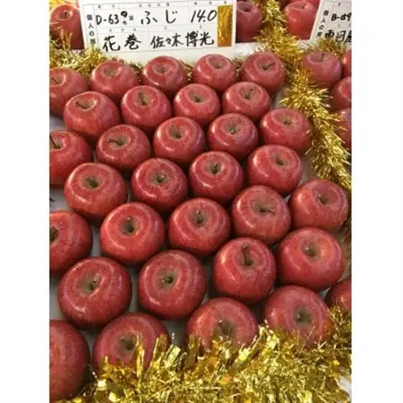りんごと言えば、本場青森県産サンふじ　贈答用　約5kg　13個前後入り　農家直送　蜜入り期待大!_果物・フルーツ りんご  リンゴ 林檎_【1383075】
