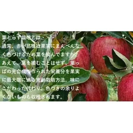 青森県産りんご　’はあと’紅玉　3K箱_果物・フルーツ りんご  リンゴ 林檎_【1425256】