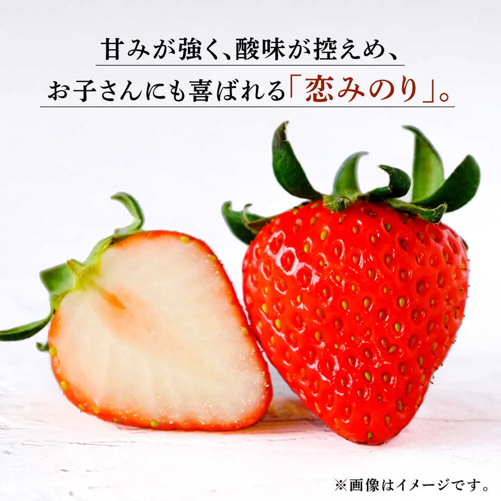 【6回定期便】高級 冷凍  いちご 加工用 約1kg（約500g×2袋）【伊藤農園】  果物 フルーツ イチゴ いちご 苺 熊本県 特産品 オーガニック 有機 恋みのり 冷凍 [ZBB016]
