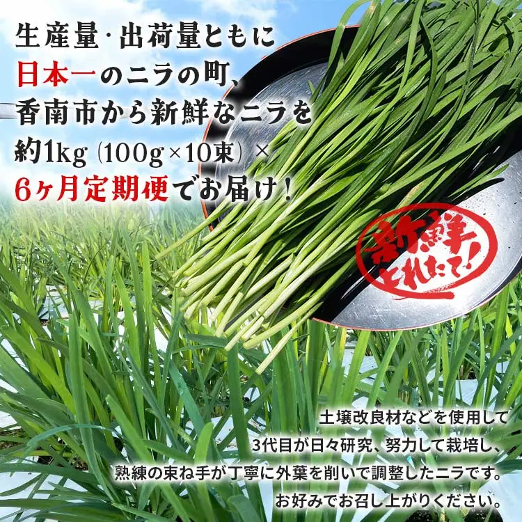 ニラ 1kg 定期便 6回 ニラ Won-0016
