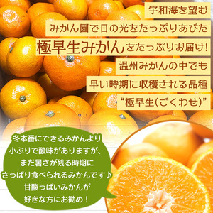 でん助農園の温州みかん（極早生）訳あり 約10kg MDN0010