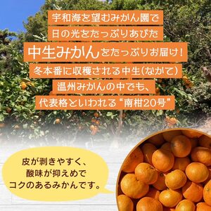でん助農園の温州みかん（中生・南柑20号） 訳あり 20kg MDN0012