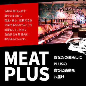 ＜訳あり＞【A4～A5】博多和牛焼肉切り落とし(肩ロース・バラ)(500g) 国産 九州産 福岡県産 牛肉 和牛 黒毛和牛 ヤキニク やきにく 焼き肉 お肉【MEAT PLUS】as08-028
