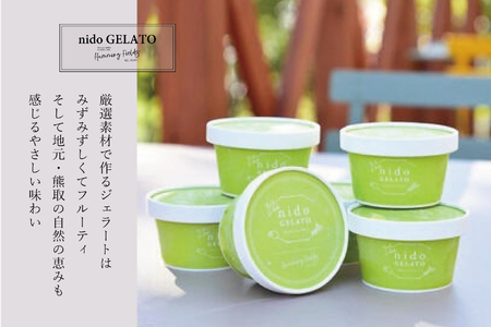 ブルーベリーヨーグルトジェラート「Nido GELATO」(6個)【Humming Fields】（025_5002）
