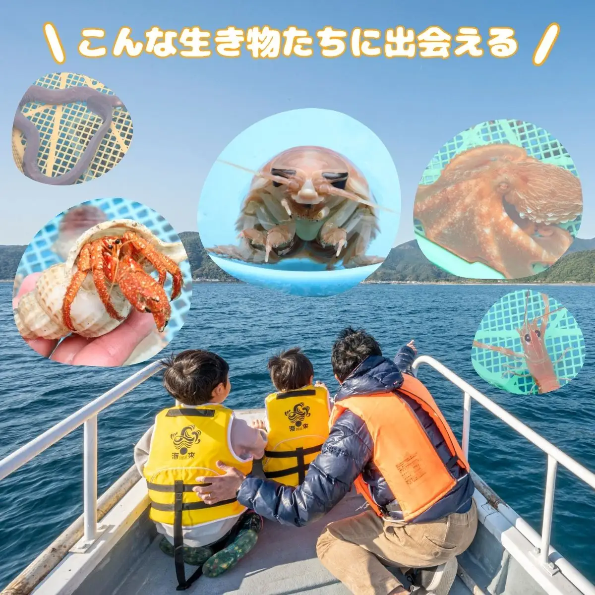 室戸からの招待状「海来に乗船していざ深海生物漁業体験」試食付  体験 夏休み 旅行 乗船 設備あり 未知の体験 思い出 甲殻類 ジオパーク 太平洋 クルージング