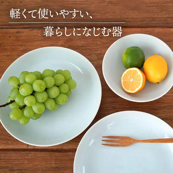 【美濃焼】[軽量食器] TLPリムバンド ホワイト  9インチ クープ×2枚/オートミル×2枚 ペア【井澤コーポレーション】食器 プレート ボウル [TBP092]
