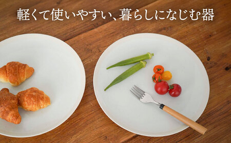 【美濃焼】[軽量食器] TLPリムバンド ホワイト 10インチ プレート×4枚 セット【井澤コーポレーション】食器 大皿 [TBP117]
