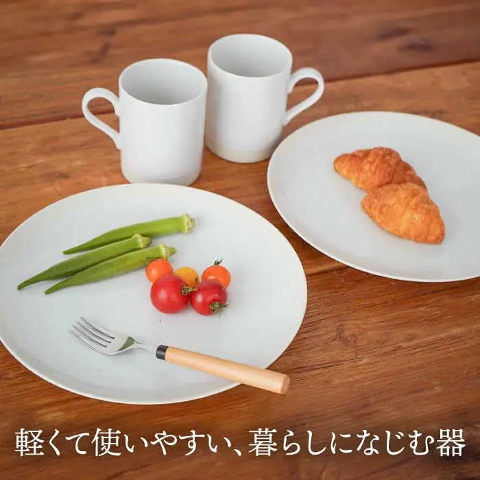 【美濃焼】[軽量食器] TLPリムバンド ホワイト マグ×2個  10インチプレート×2枚    ペアセット【井澤コーポレーション】食器 大皿 マグカップ [TBP120]