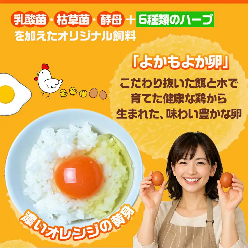 よかもよか卵85個の定期便(5ヶ月)〔T85-5-29-010-85〕_(都城市) 卵 定期便 Mサイズ こだわりの卵