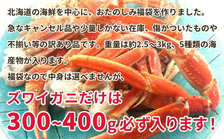 北海道の海鮮＜おたのしみ福袋＞ 訳あり ズワイガニ入り 冷凍 5種 最大2.5～3kg 魚 魚介 訳あり 蟹 カニ かに