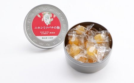 【只者じゃない】ニホンミツバチの飴：ニホンシャクヤク飴：蕎麦味噌：辛味噌のセット お菓子 あめ みそ 加工食品 