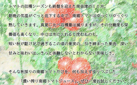 濃い搾り　南郷トマトジュース　6パック 果汁飲料 野菜飲料 ストレート 無添加 