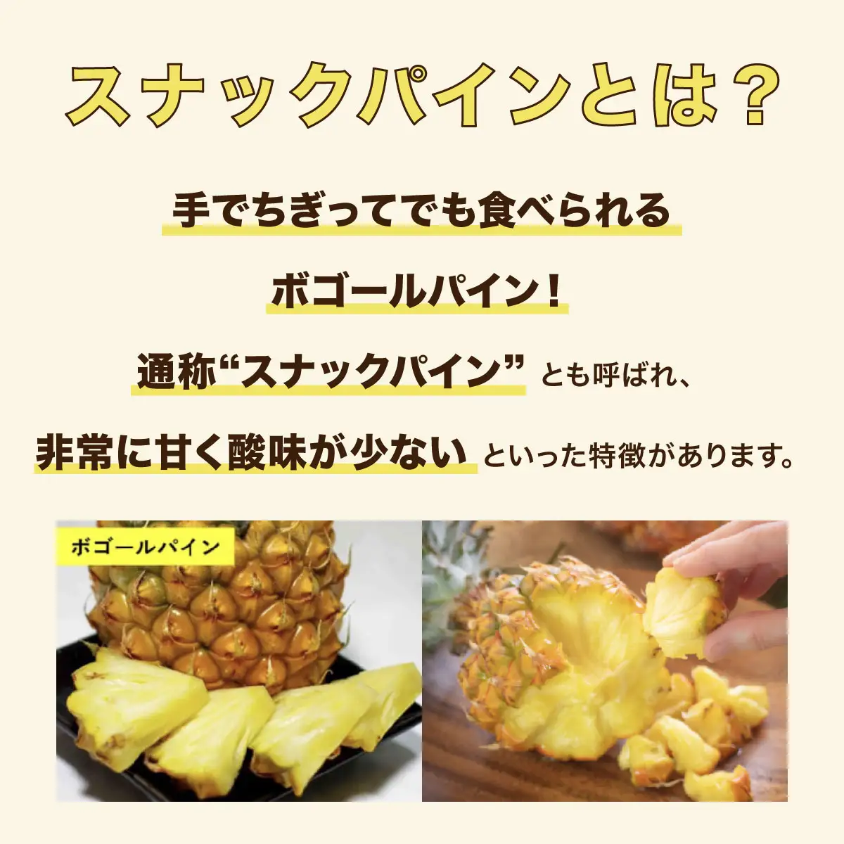 【2027年 先行予約】スナックパイン 約2kg 