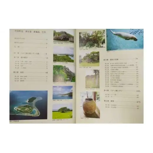 竹富町史 第五巻 新城島